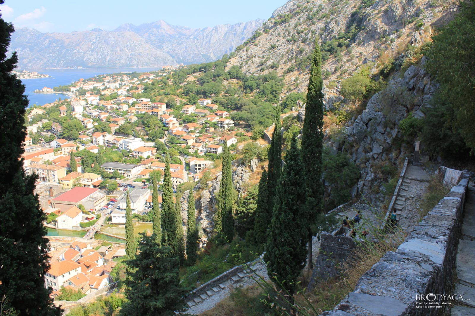 Kotor